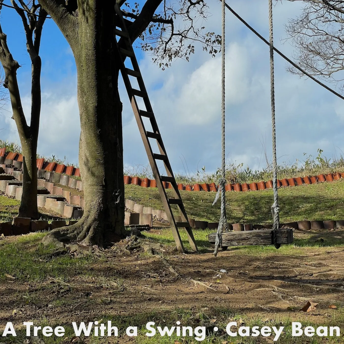 Album cover: A Tree With a Swing