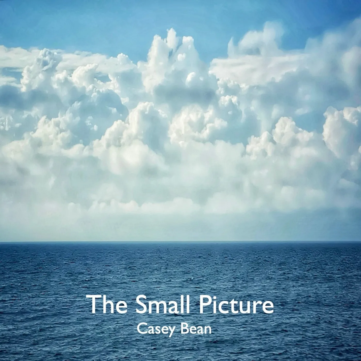 Album cover: The Small Picture